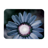 Blue Rustic Daisy Flexible Photo Magnet (Horizontal)