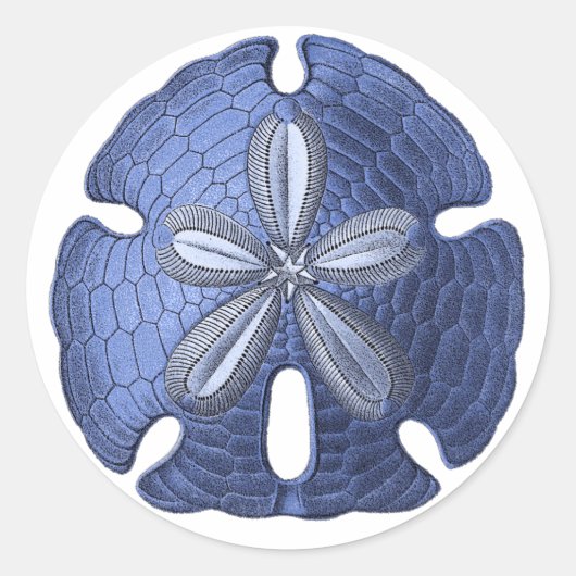 Blue Sand Dollar Ronde Sticker (Voorkant)