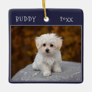 Blue Schattige Dog Pet 2 foto's Kerst Keramisch Ornament