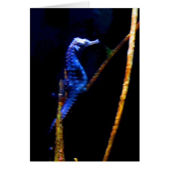 Blue Seahorse CB (Devant)