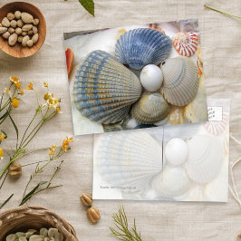 Blue Seashell-Briefkaarten voor fotografie Briefkaart