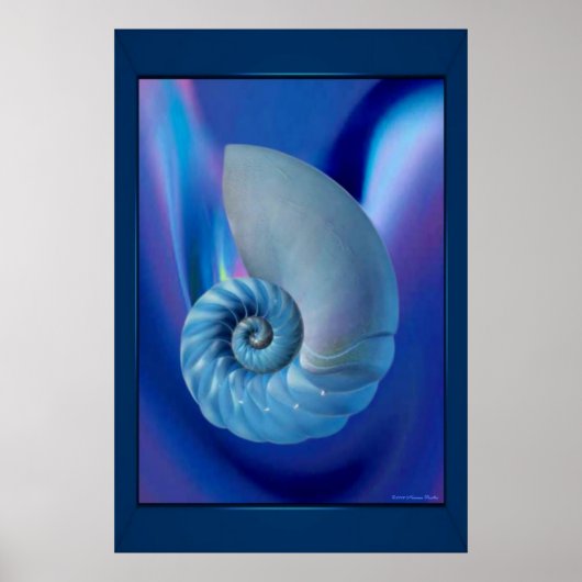 Blue Seashell Print (Voorkant)
