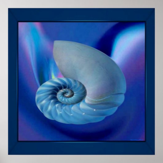 Blue Seashell Print (Voorkant)