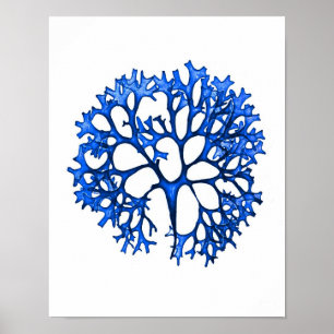 Blue Seaweed Print nr. 12 Coastal Botanical Print.