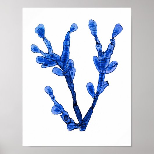 Blue Seaweed Print nr. 8 Coastal Botanical Print. (Voorkant)