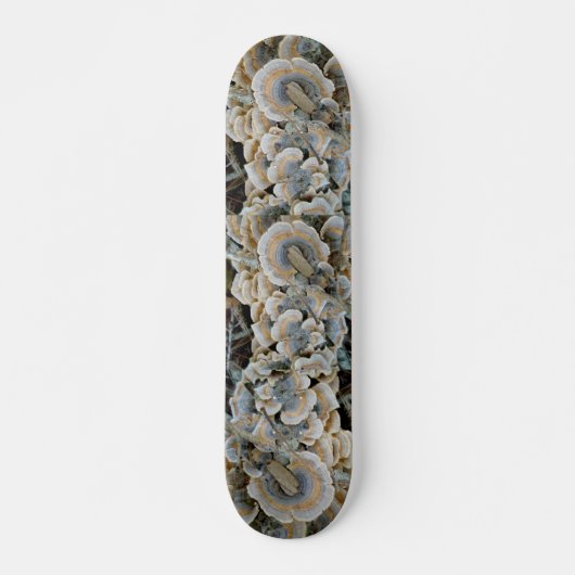 Blue Shelf Fungus Skateboard (Voorkant)