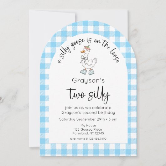 Blue Silly Goose 2e anniversaire Invitation photo (Devant)