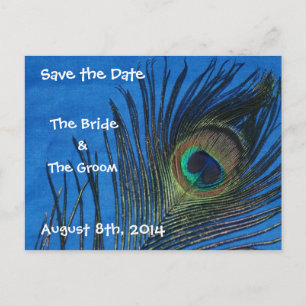 Blue Single Peacock Feather Save the Date Briefkaa Aankondigingskaart