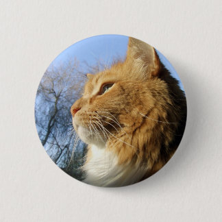 Blue Skies Cat-toets Ronde Button 5,7 Cm