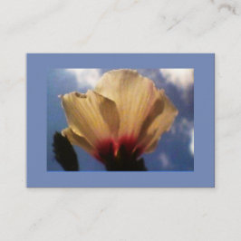 Blue Sky White Rose Visitekaartje