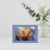 Blue Sky White Rose Visitekaartje (Staand voorkant)