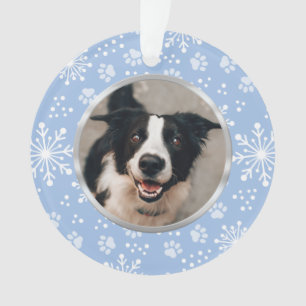 Blue Snowflake Paw Motif Pet Photo