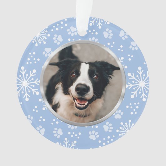 Blue Snowflake Paw Motif Pet Photo (devant)