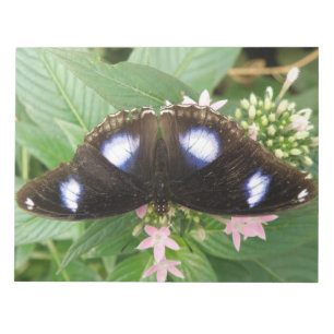 Blue Spotted Butterfly-laptop Notitieblok