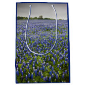 Blue Spring Bluebonnet Field Texas State Flower Medium Cadeauzakje (Voorkant)