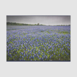 Blue Spring Bluebonnet Field Texas State Flower Tissuepapier