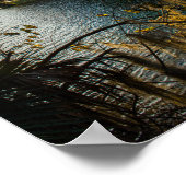 Blue Springs State Park, Florida Poster (Hoek)