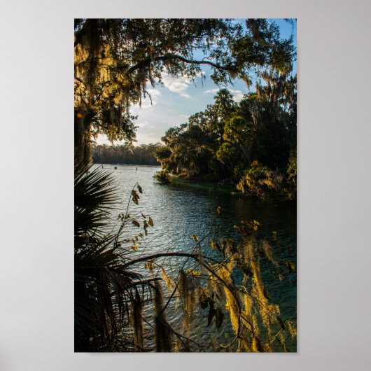 Blue Springs State Park, Florida Poster (Voorkant)