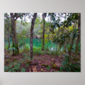 Blue Springs State Park, Florida Poster (Voorkant)