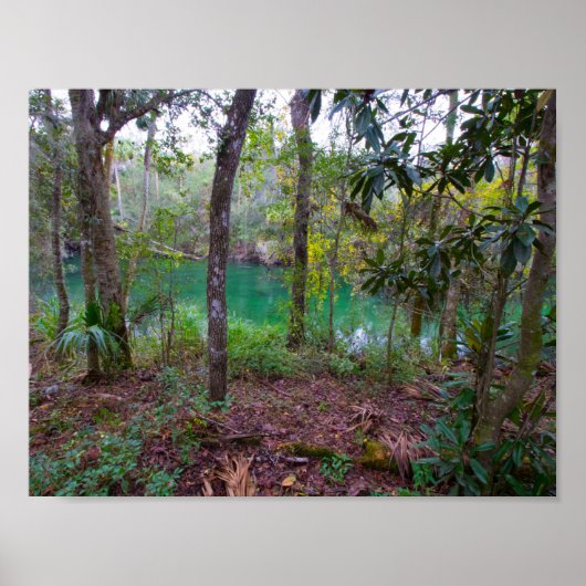 Blue Springs State Park, Florida Poster (Voorkant)