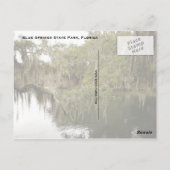 Blue Springs State Park Photo Briefkaart (Achterkant)