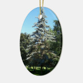 Blue Spruce Ornament (Links)