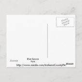 Blue Spruce Park #2 Briefkaart (Achterkant)