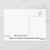 Blue Spruce Park #4 Briefkaart (Achterkant)