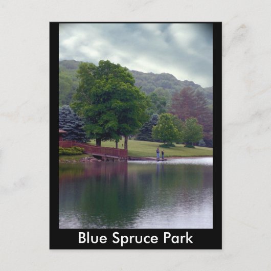 Blue Spruce Park Briefkaart (Voorkant)