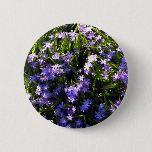 Blue Squill Spring Flowers Ronde Button 5,7 Cm (Voorkant)