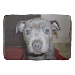 Blue Staffordshire Bull Terrier Puppy, Bathmat Badmat