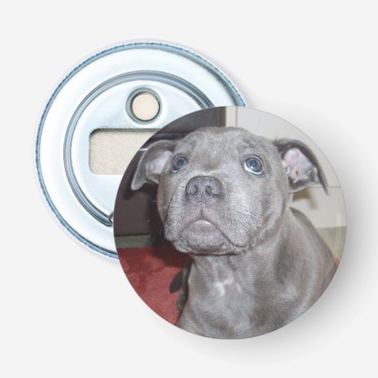 Blue Staffy Puppy Love Eyes, Bottle Opener. Button Flesopener (Voorkant)