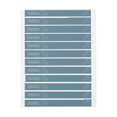 Blue Starfish Florida Beach Wedding (Vel)