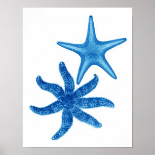 Blue Starfish no. 5 strandwandbekleding Poster