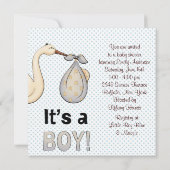 Blue Stork Baby Boy Shower Kaart (Achterkant)