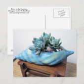 Blue Succulent in Seashell door Succulent Design Briefkaart (Voorkant / Achterkant)