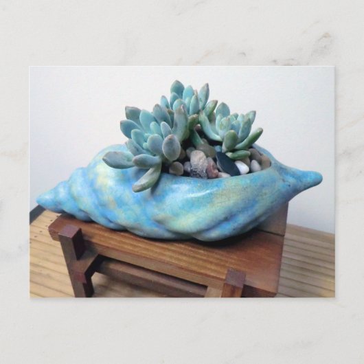 Blue Succulent in Seashell door Succulent Design Briefkaart (Voorkant)