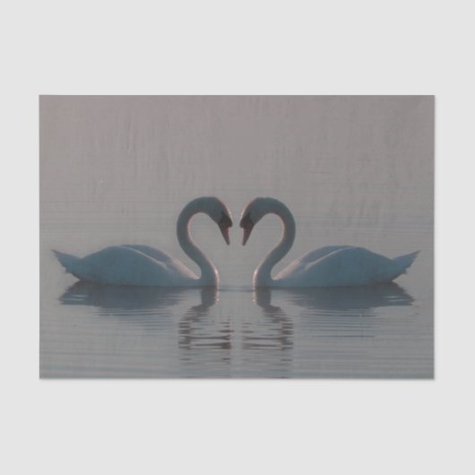 Blue Swans Must Be Love Tissuepapier (Voorkant)