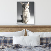 Blue Tabby Kitten Canvas Afdruk (Insitu (Slaapkamer))