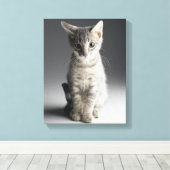Blue Tabby Kitten Canvas Afdruk (Insitu (Houten vloer))
