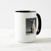 Blue Tabby Kitten Mok (Voorkant rechts)