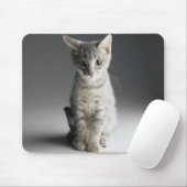 Blue Tabby Kitten Muismat (Met muis)