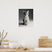 Blue Tabby Kitten Poster (Keuken)