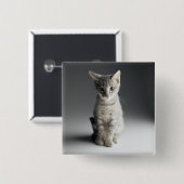 Blue Tabby Kitten Vierkante Button 5,1 Cm (Voorkant /achterkant)