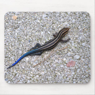 Blue Tailed Skink mousepad Muismat
