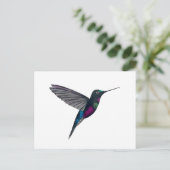 Blue-throated starfrontlet briefkaart (Staand voorkant)