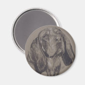 Blue Tick Coonhound Magneet (Voorkant / Achterkant)