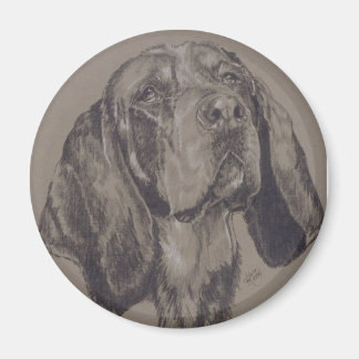 Blue Tick Coonhound Magneet