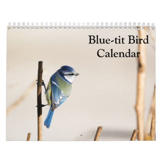 Blue-Tit Bird 2025 kalender (Hoes)
