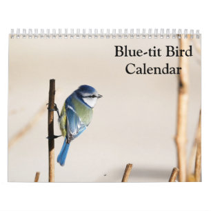 Blue-Tit Bird 2025 kalender